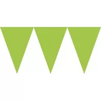 Vlaječková girlanda světle zelená 450 cm