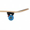 Skateboard NILS Extreme CR3108 SA King